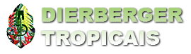 Dierberger Tropicais